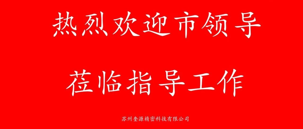 太仓市委副书记王瑜一行深入我司三服务走访：问需于企，护航发展